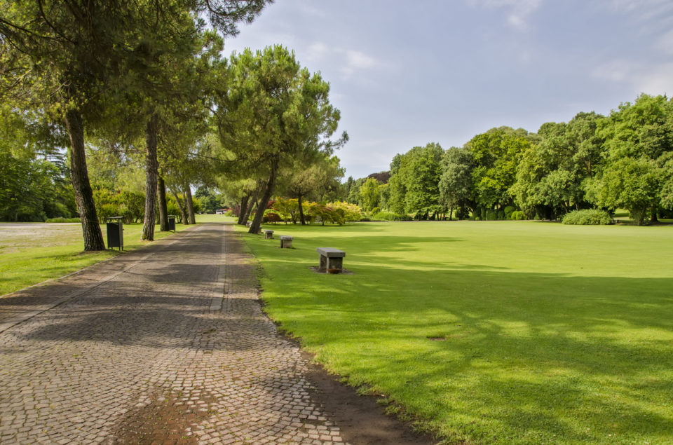 Scene of a trail through a park