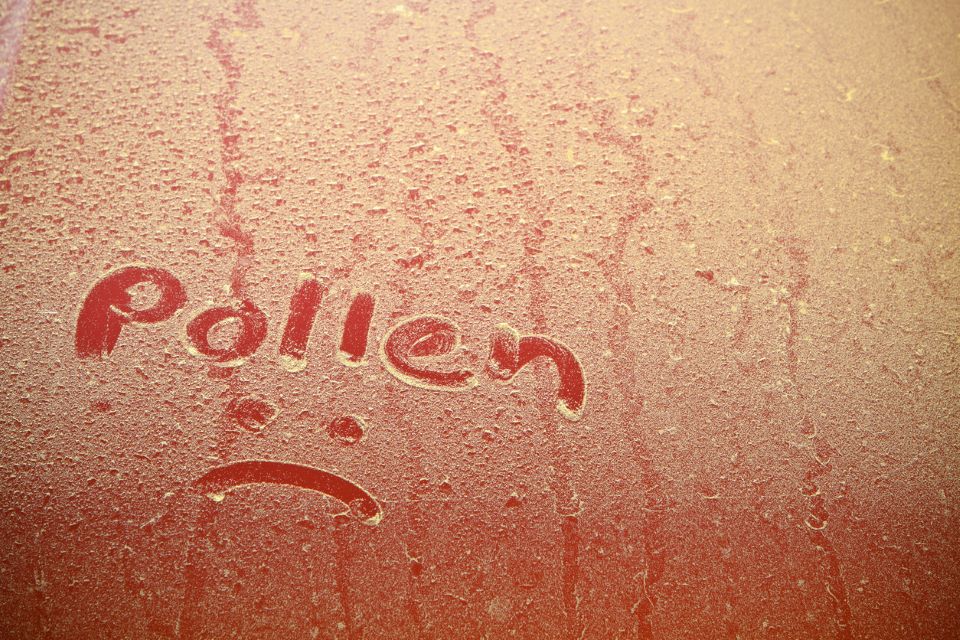 A red car covered in pollen with the word "pollen" and a frowning face drawn in it.